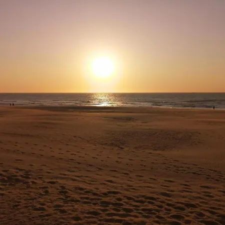 Apartament In Near North Sea