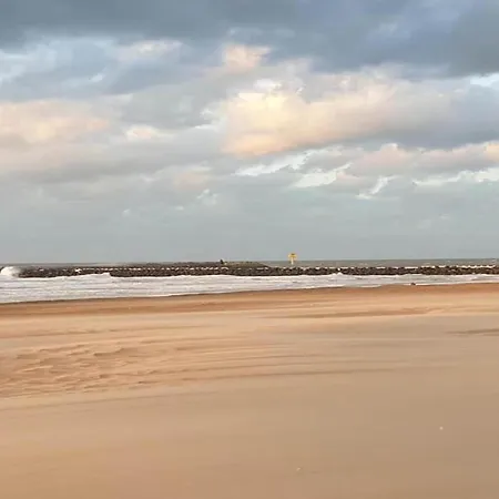 Apartament In Near North Sea